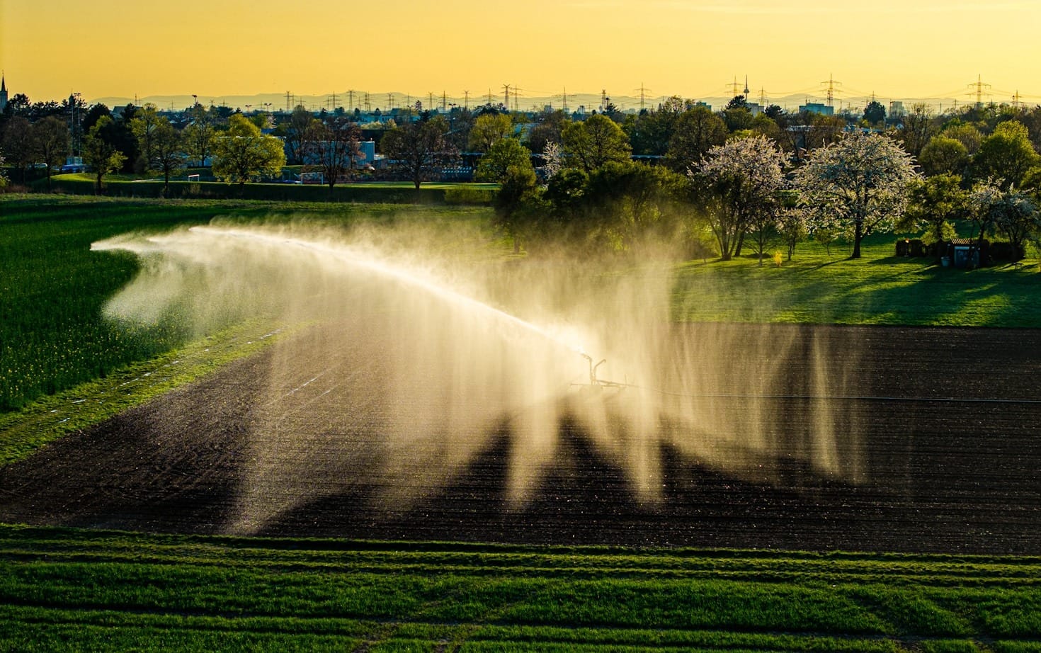 5 Signs You Need Professional Irrigation Services in Corpus Christi, TX