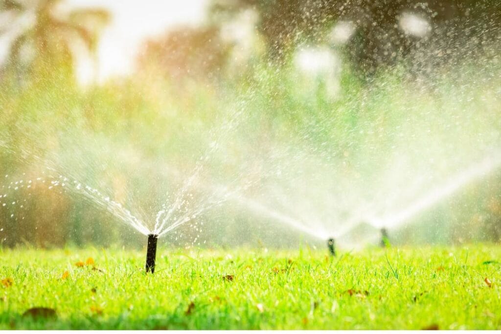 innovative irrigation solutions in Corpus Christi